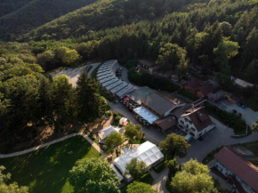Гостиница Domaine du Hirtz, Restaurant & Spa  Ватвиллер
